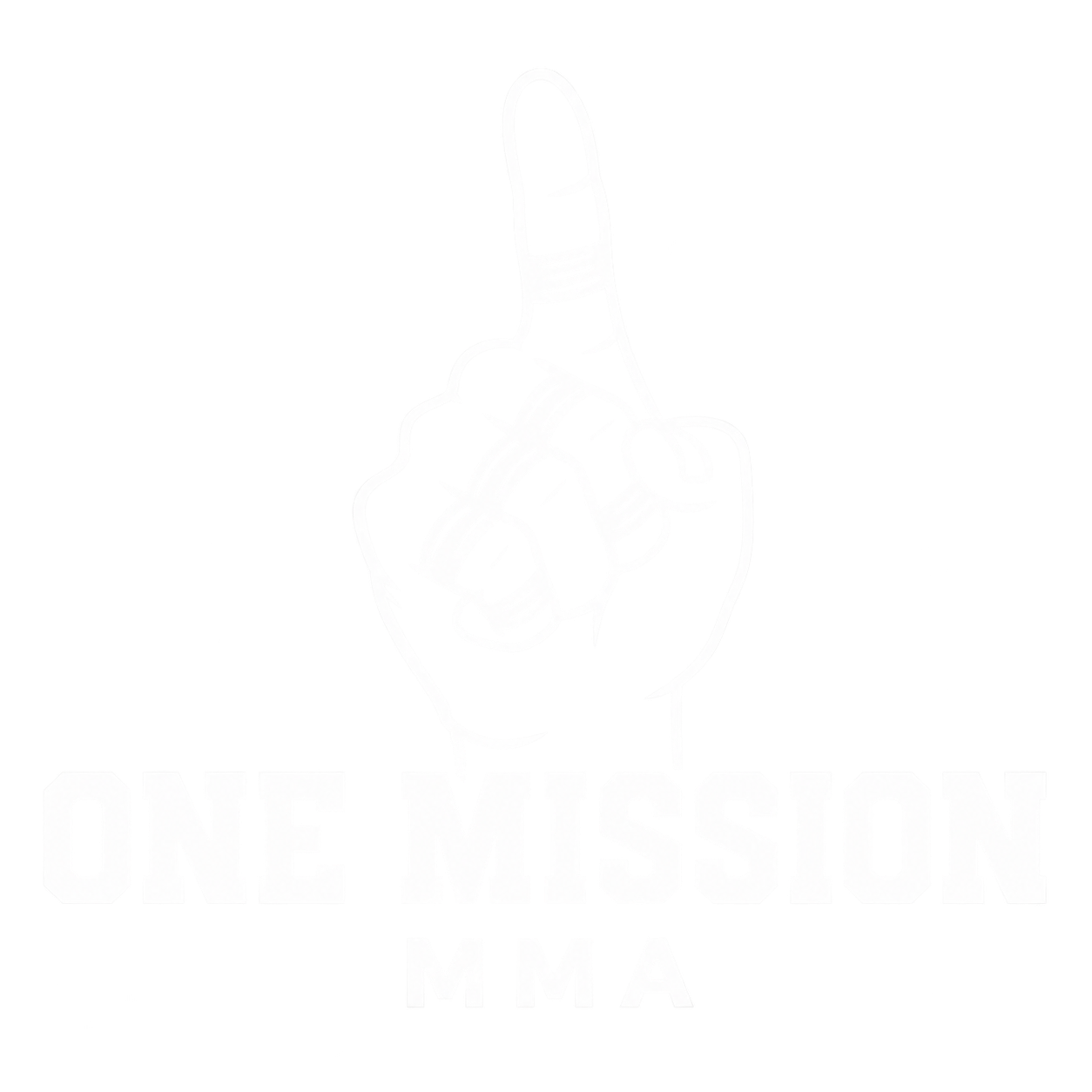 One Mission MMA